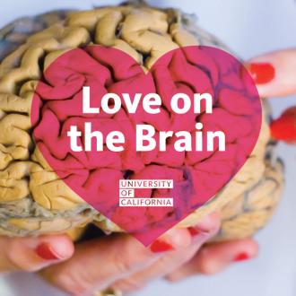 Love-brain