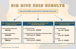 Big Give 2019 infographic