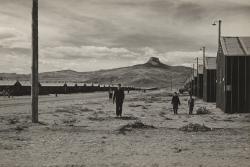 Internees roam the desolate Heart Mountain Relocation Center near Cody, Wyoming, in 1942. 