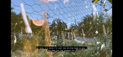 Beyond a wire fence stands a brown house with green grass and trees surrounding it. Across the bottom is the caption in white text with black background, "My love, I'm sorry I'm just now writing back to you. The baby got the stomach flu."